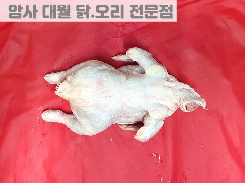 빈손장보기,위생닭