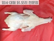 통오리 (2.7KG)