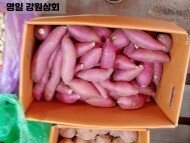 고구마(1kg)